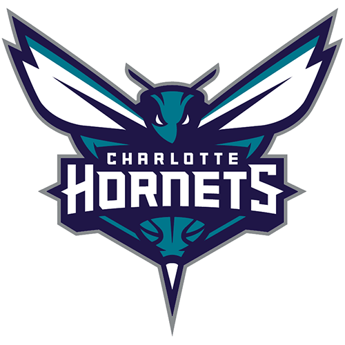Charlotte Hornets iron ons
